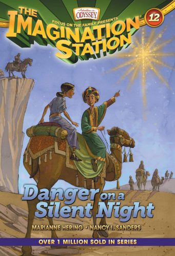 Book 12: Danger on a Silent Night cover